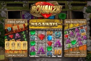 bonanza slots